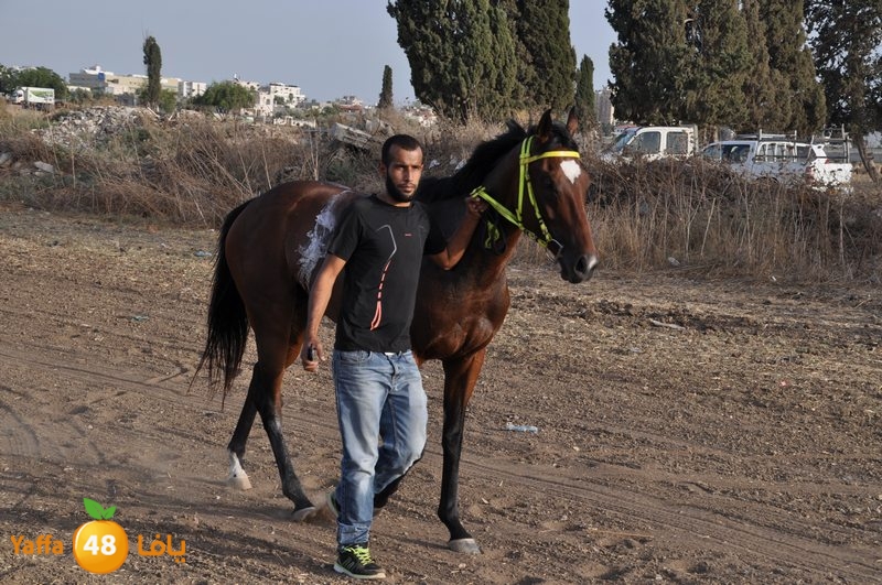 kheil sebaq (22).JPG